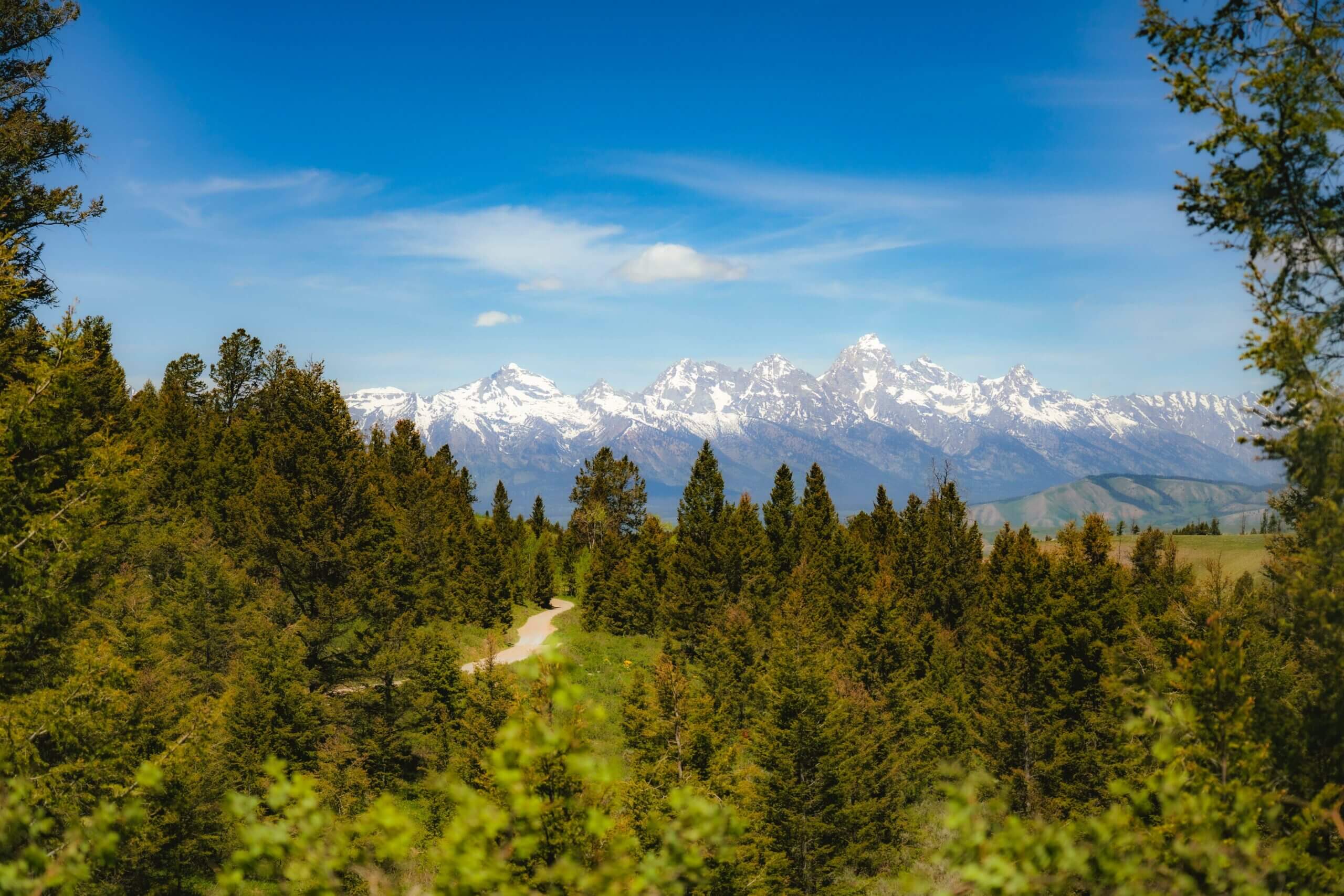 Grand Teton View