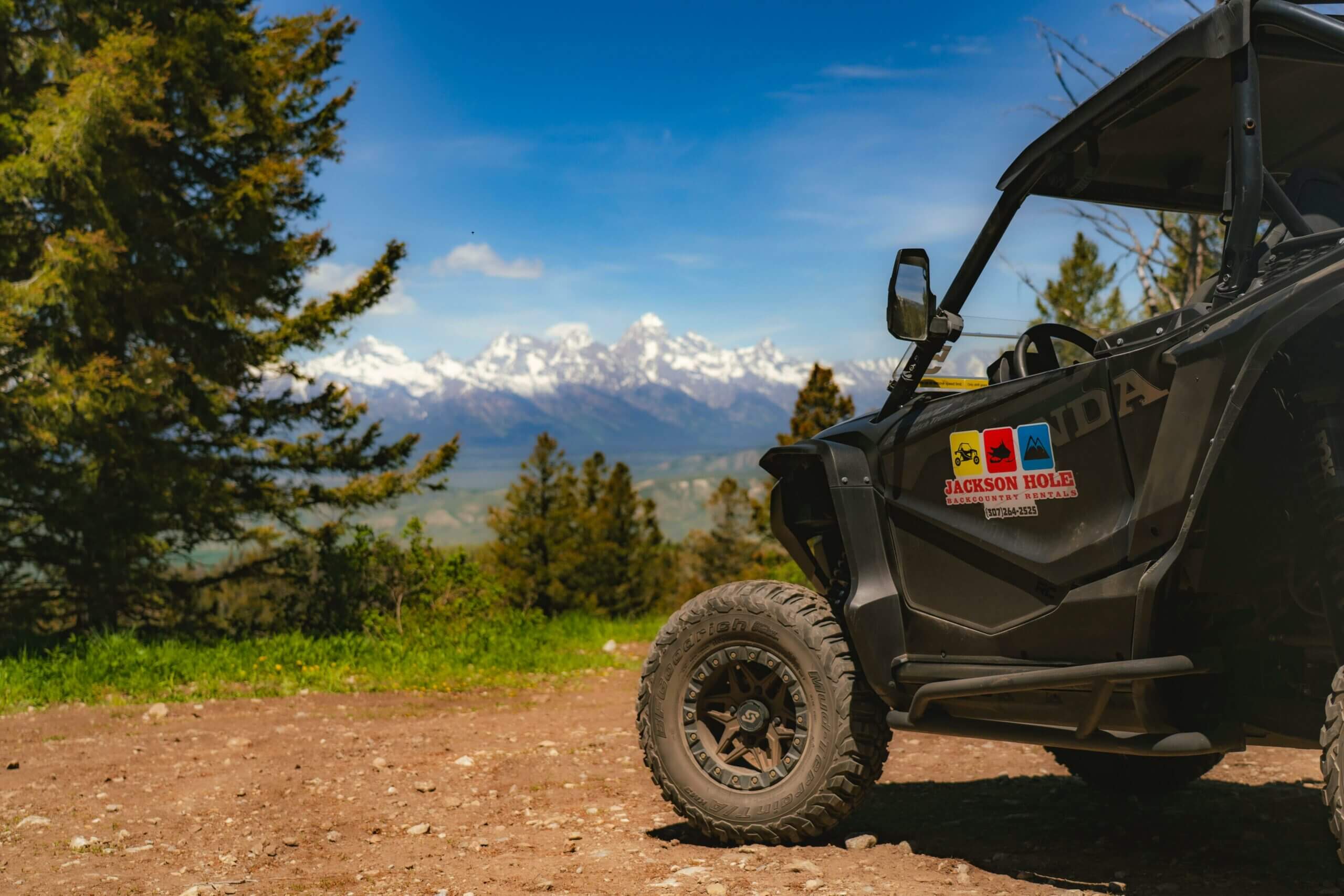 Grand Teton View