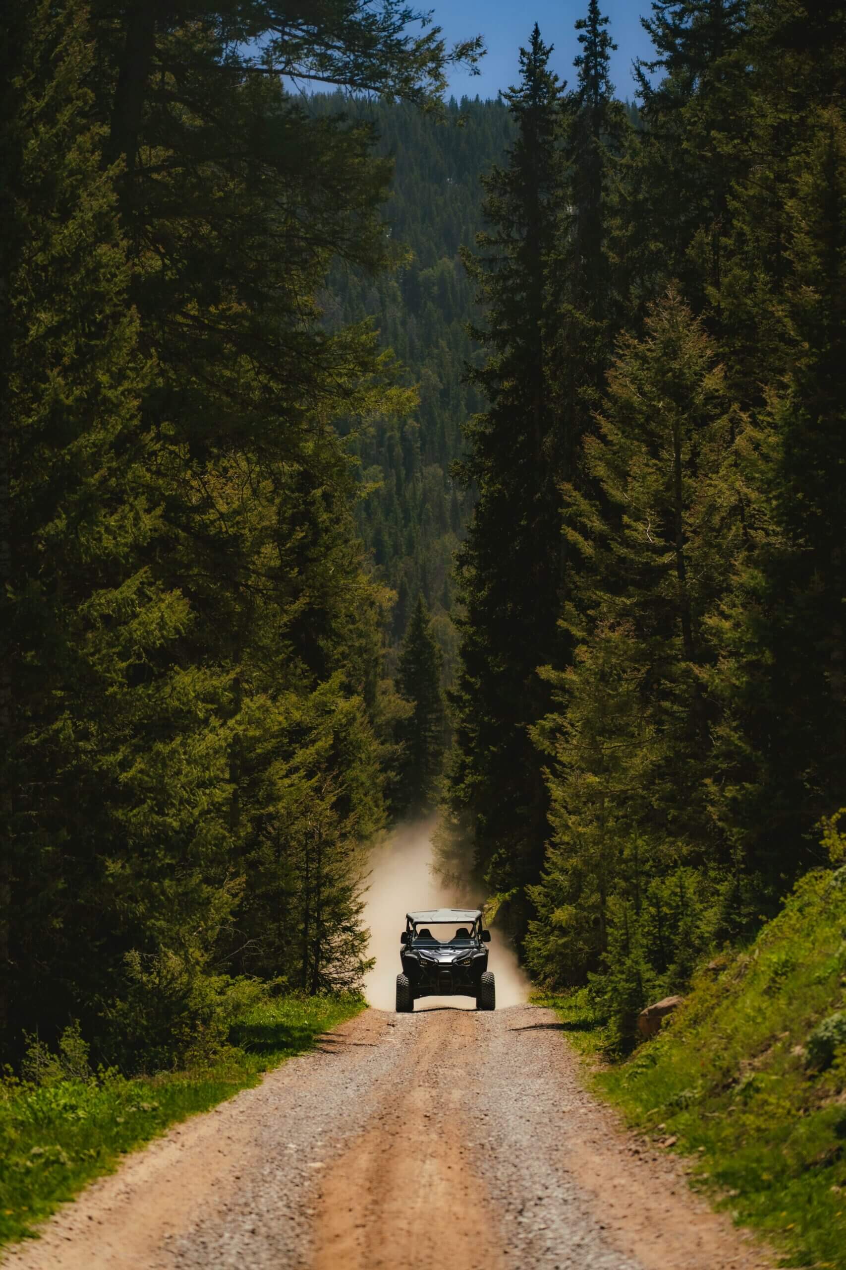 Side by side on the trail