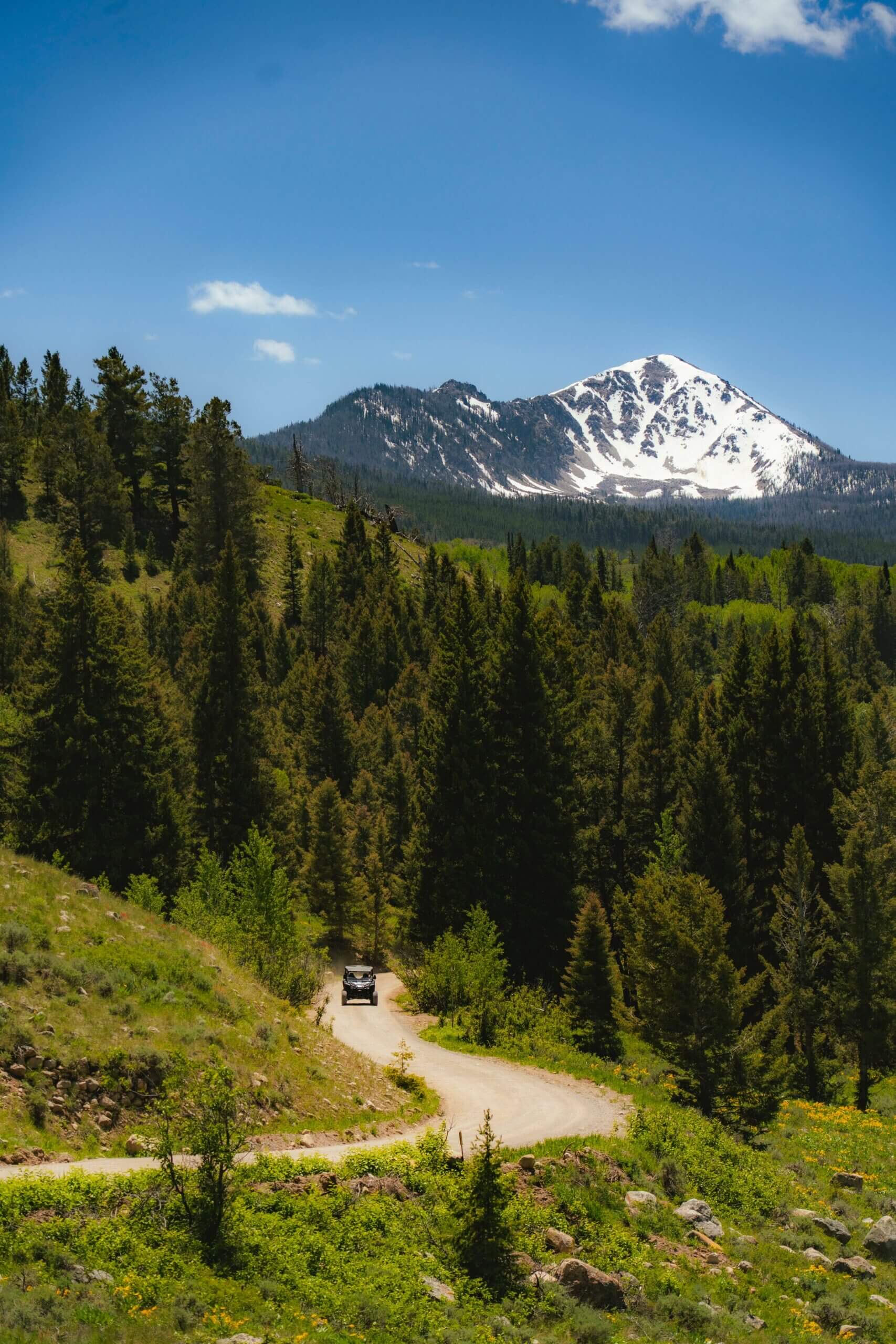 Side by side on the trail